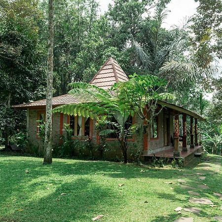 Saridevi Ecolodge Jatiluwih Zewnętrze zdjęcie