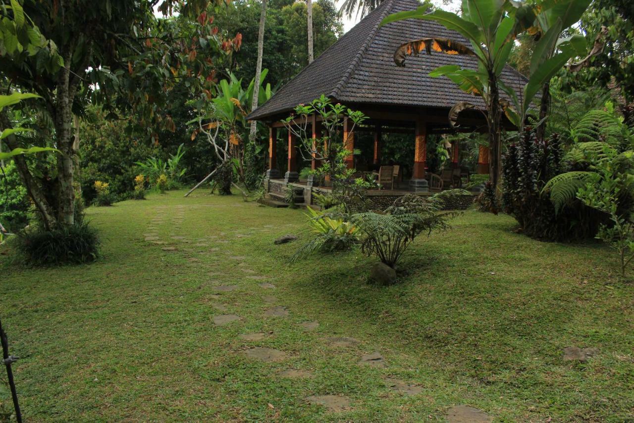Saridevi Ecolodge Jatiluwih Zewnętrze zdjęcie